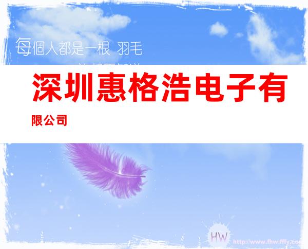 深圳惠格浩电子有限公司